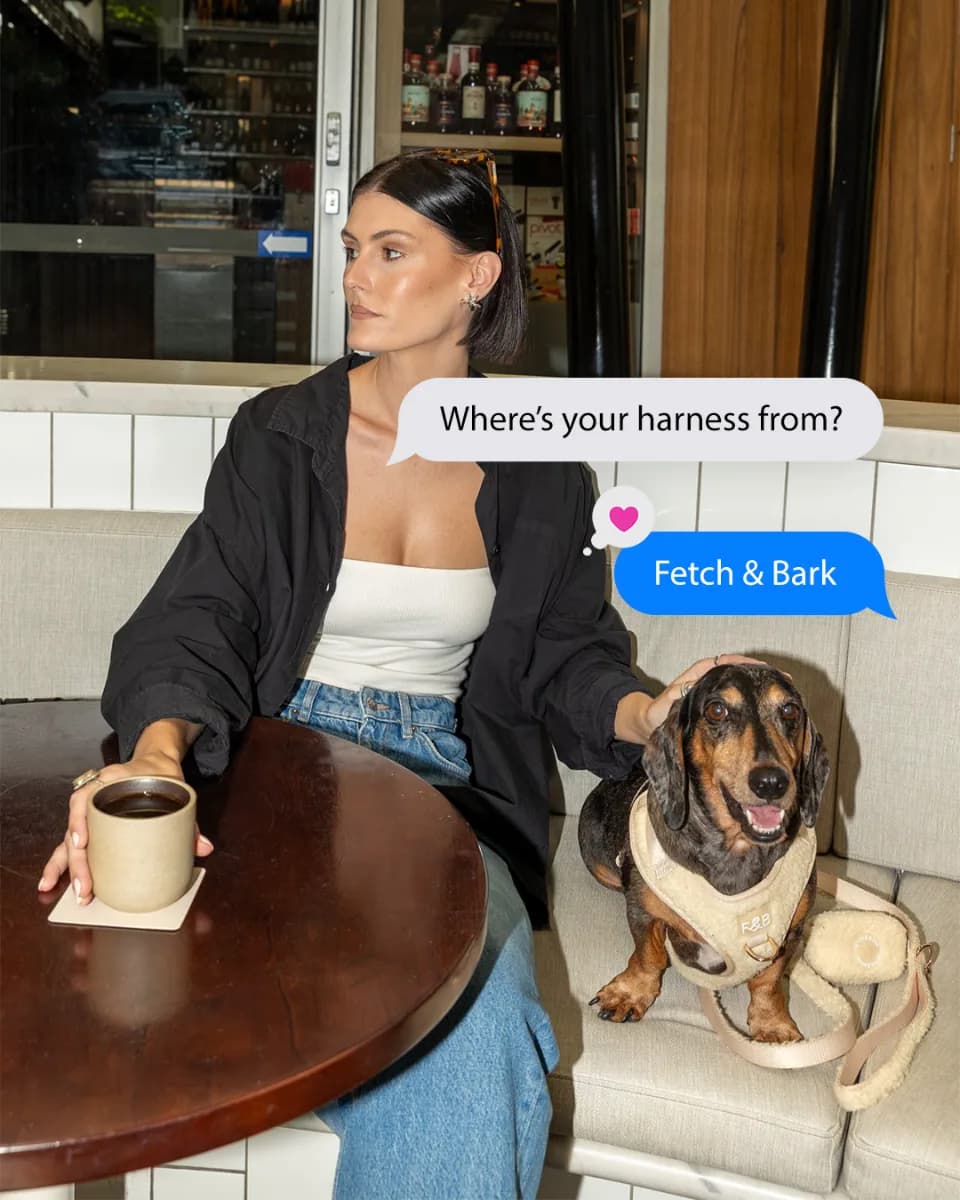 Fetch & Bark work
