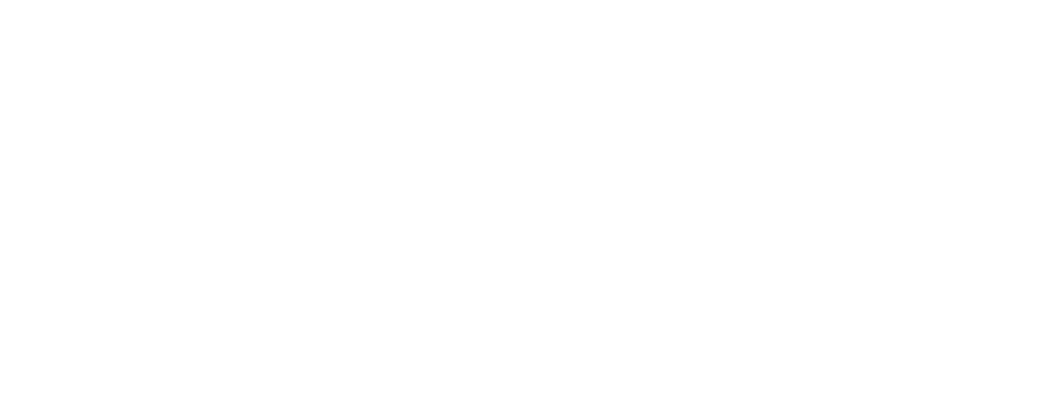 The Feet People logo