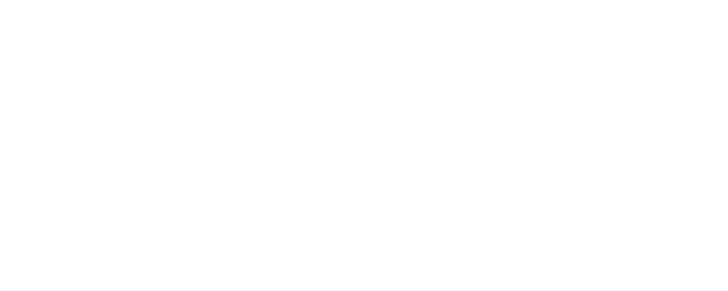 Acai Bros logo