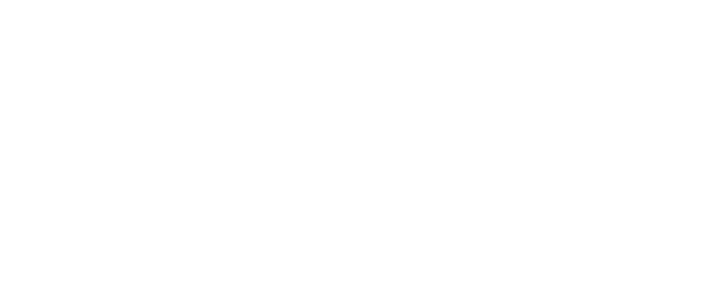 Noodle Box logo