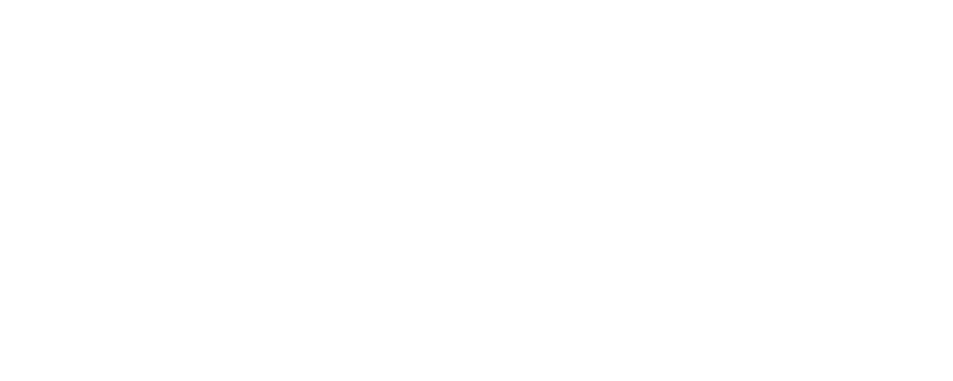 Patty Smiths logo