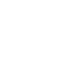 scale